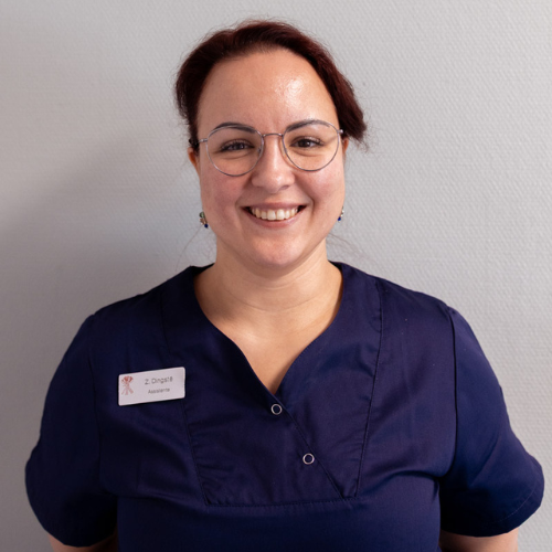 De assistente van tandarts-en mondhygiënepraktijk